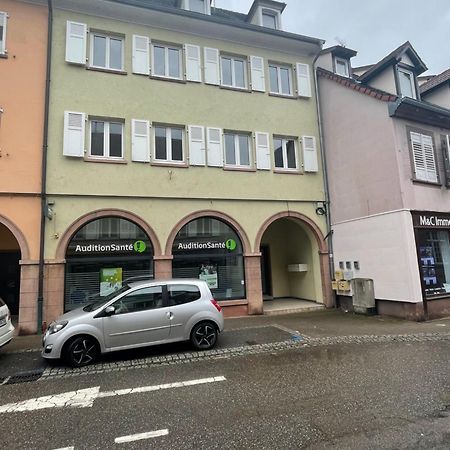 Appartements « La Parenthese » Wissembourg Kültér fotó