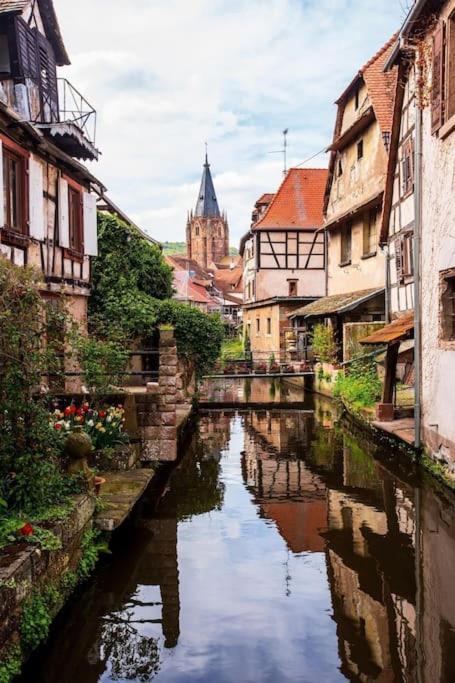 Appartements « La Parenthese » Wissembourg Kültér fotó