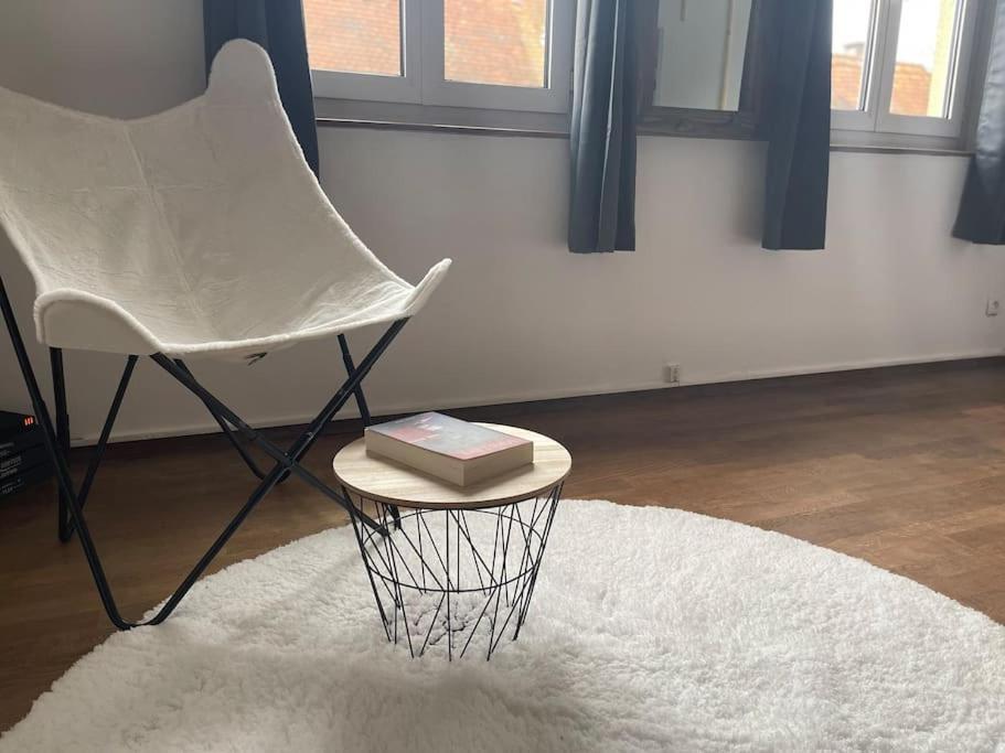 Appartements « La Parenthese » Wissembourg Kültér fotó