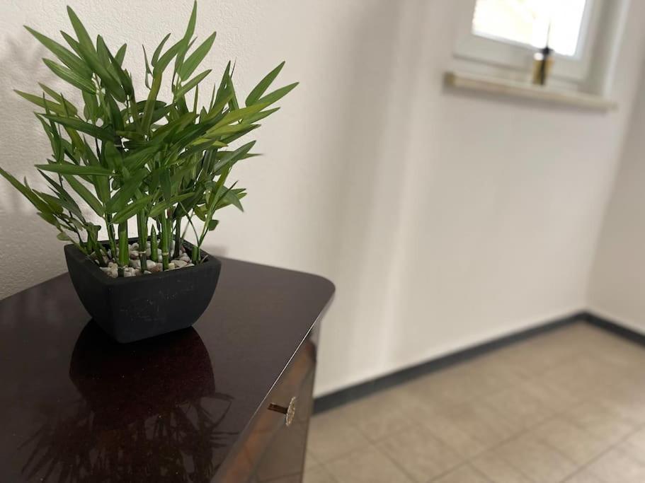 Appartements « La Parenthese » Wissembourg Kültér fotó