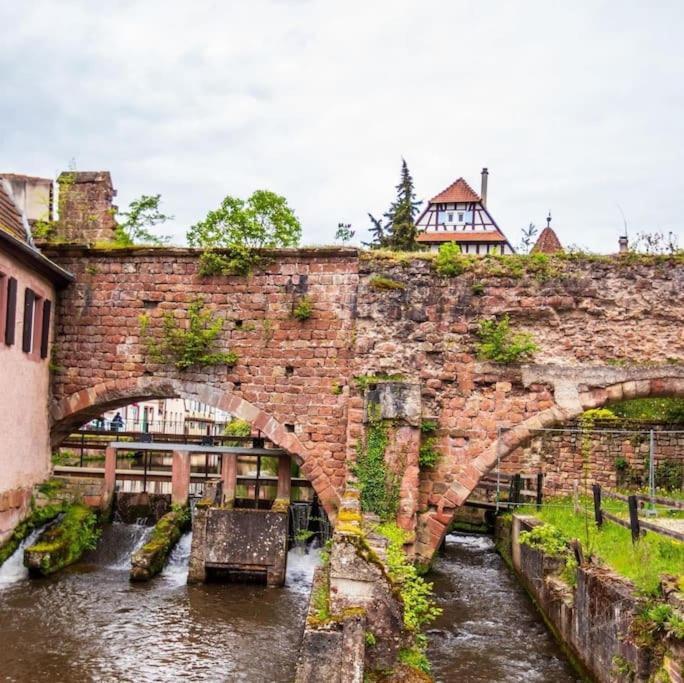 Appartements « La Parenthese » Wissembourg Kültér fotó